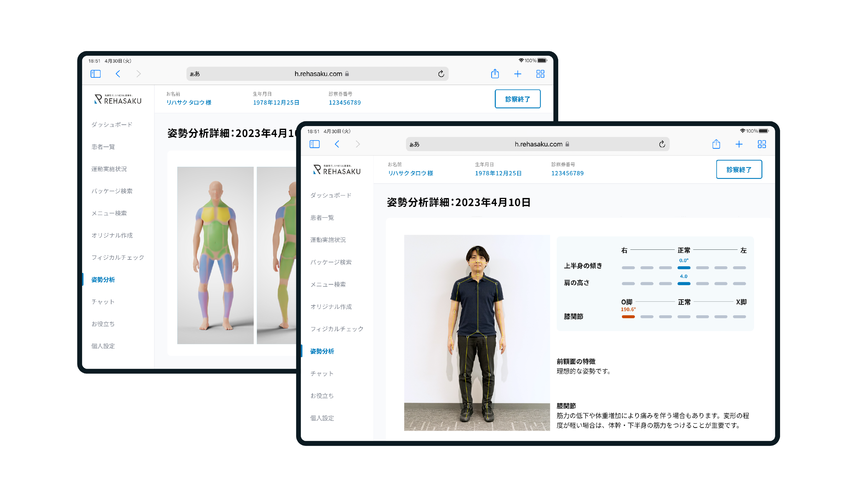 【貴重】4DS姿勢分析テンプレート（猫背なのか？がわかります） 貴重】4DS姿勢革命 姿勢分析テンプレート 【公式通販】