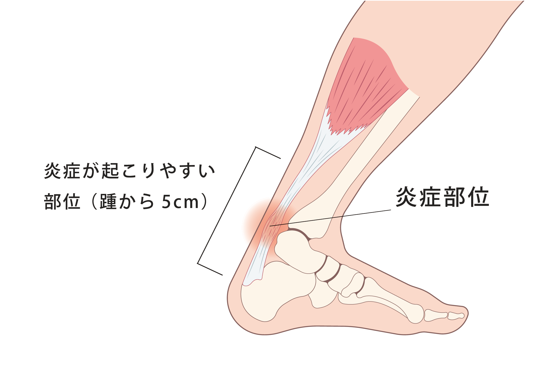 DIYの心地よいバスティー