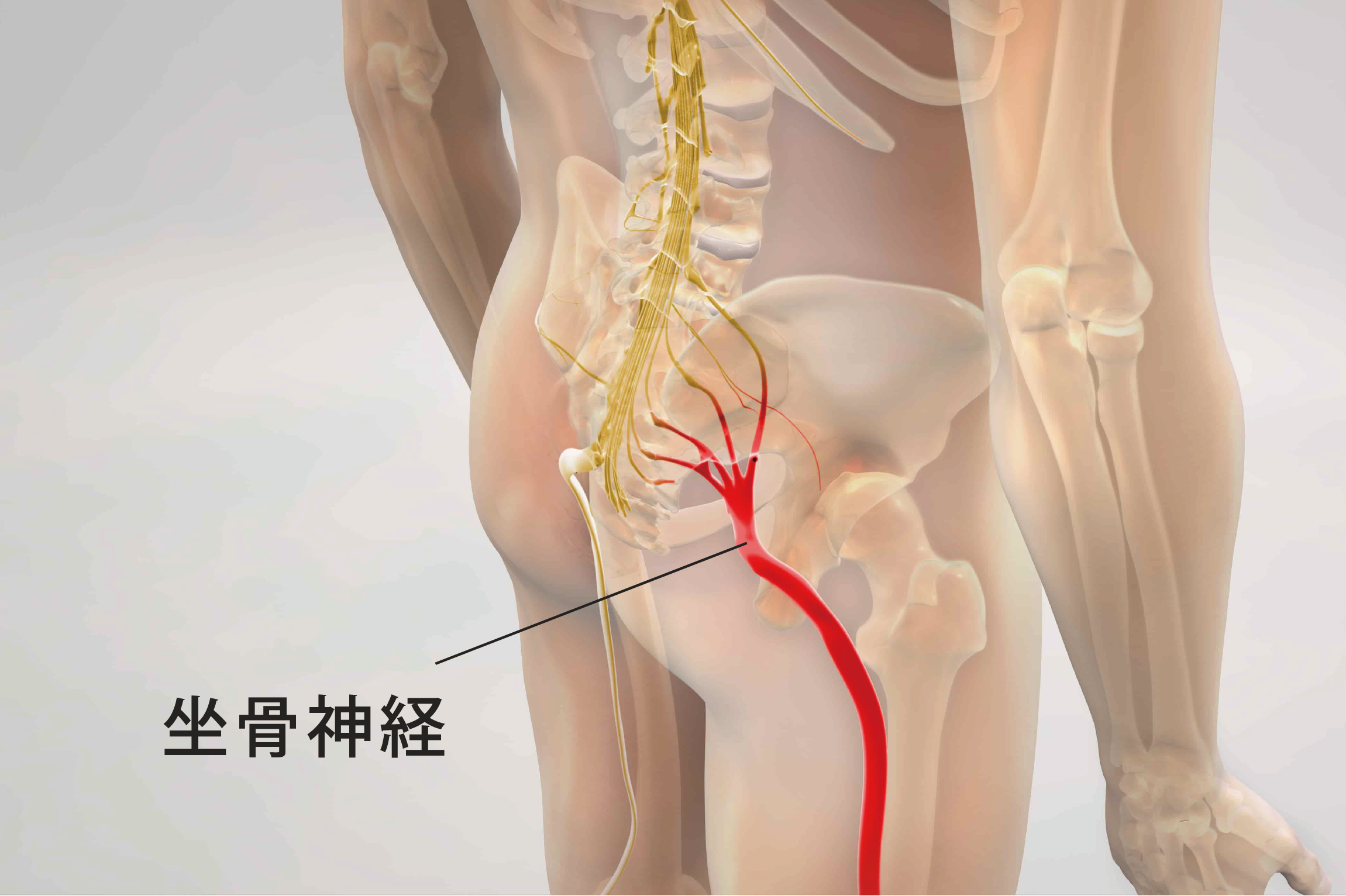 痛みを和らげるためのストレッチ