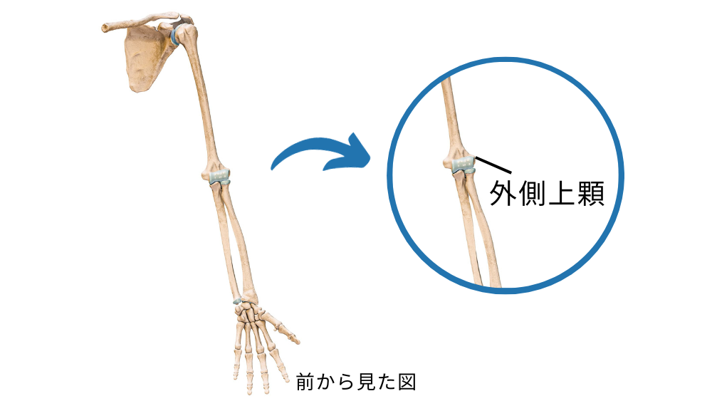 腕が痛い】肘から下の痛みやしびれの原因となる病気とは？適切な