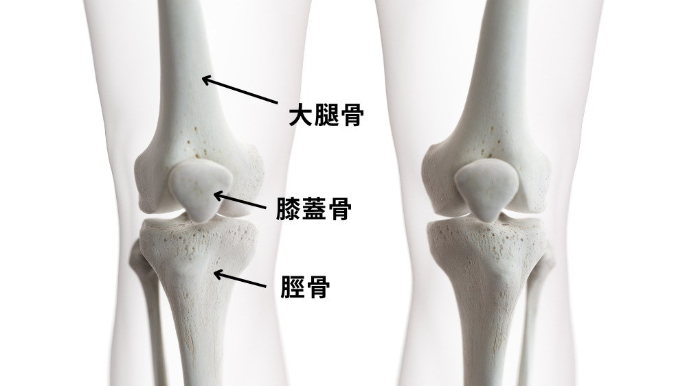 【膝の外側が痛い】痛みの原因とストレッチなどの対処法について詳しく解説! - 株式会社リハサク