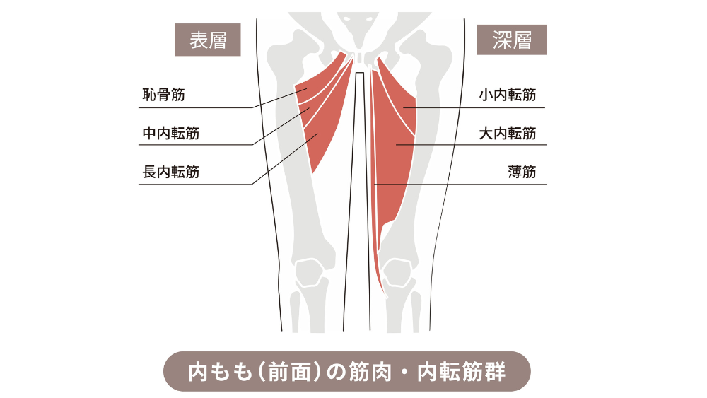 筋肉痛 太ももが筋肉痛で痛い理由と対策｜部位別原因＆即効ストレッチを紹介